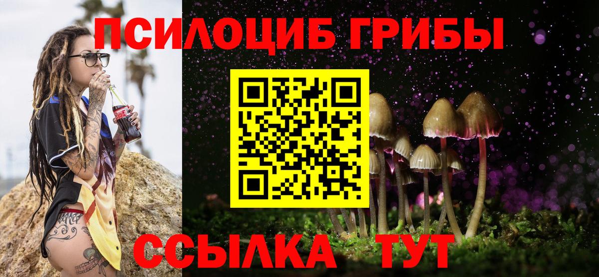 Благовещенск  Псилоцибиновые грибы MAGIC MUSHROOMS  Вход с VPN 